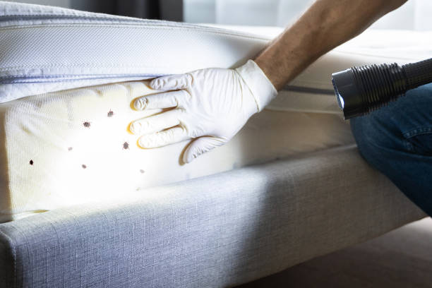 Best Pest Removal Services  in Fair Oaks, CA